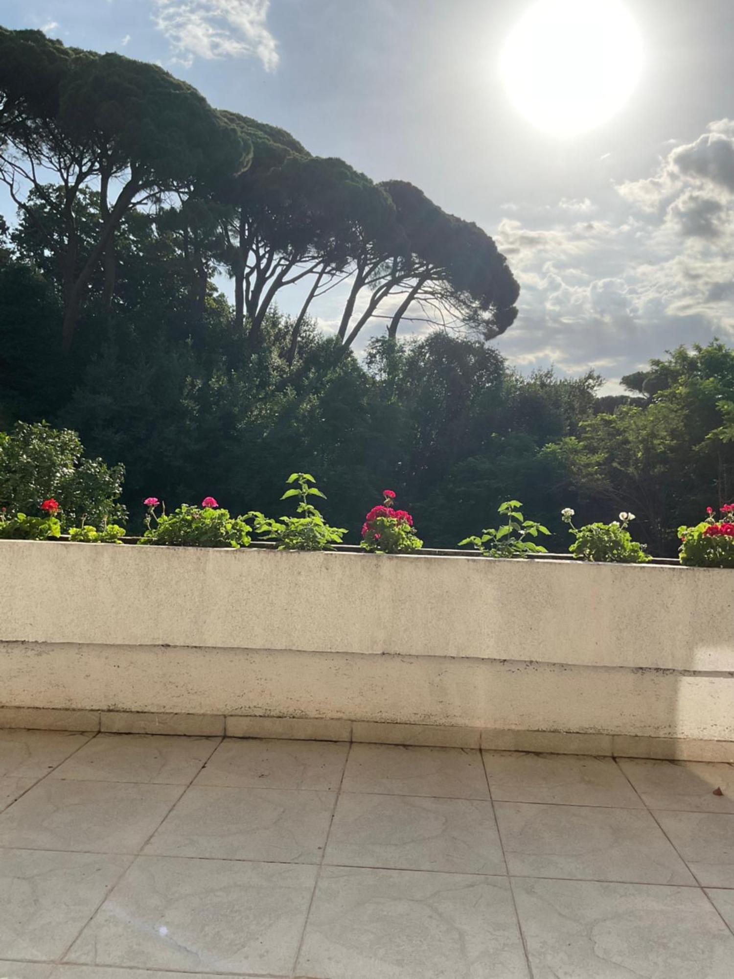 Villa Monte Boutique Apartments In Herceg Novi Bagian luar foto