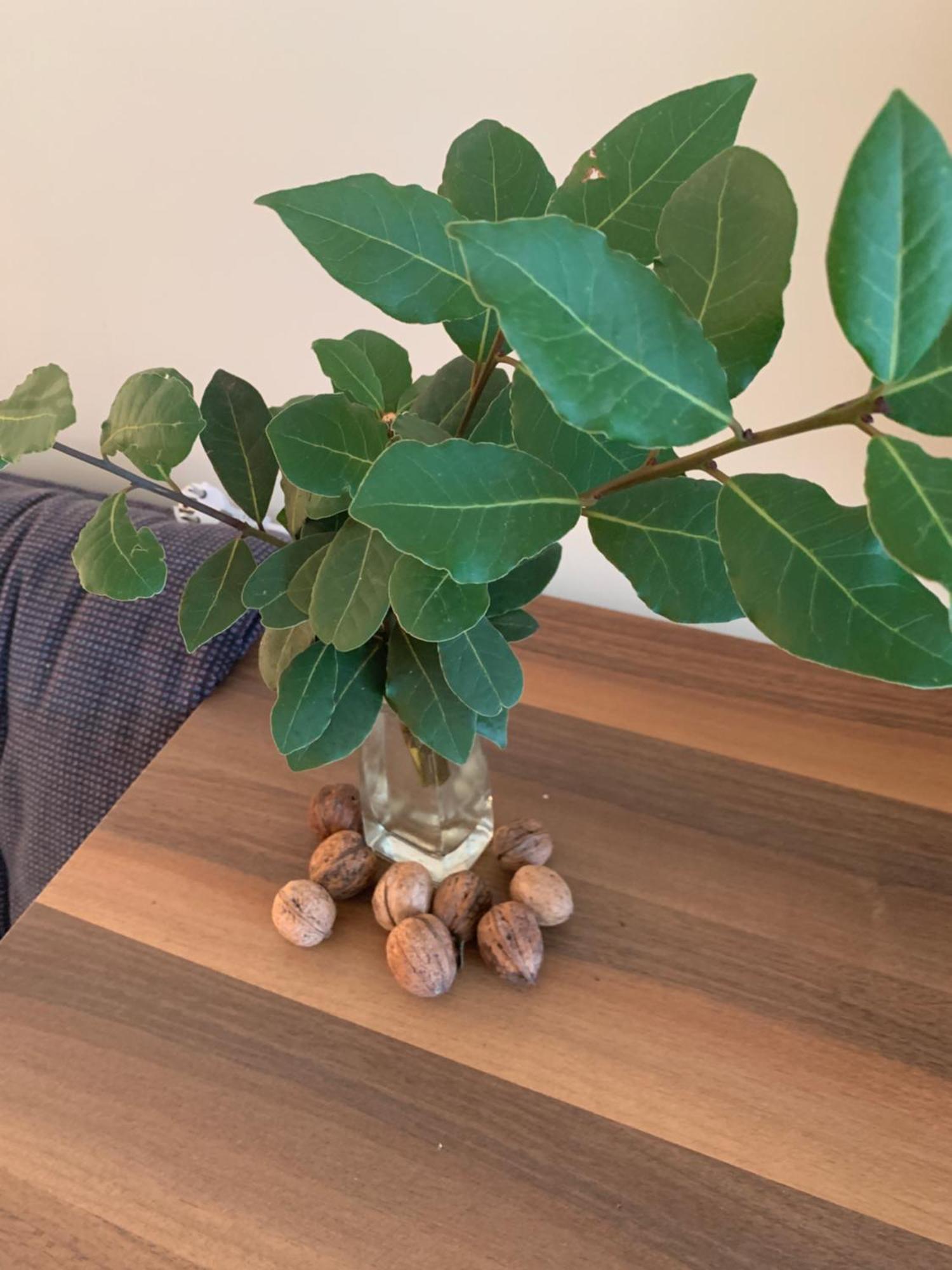 Villa Monte Boutique Apartments In Herceg Novi Bagian luar foto