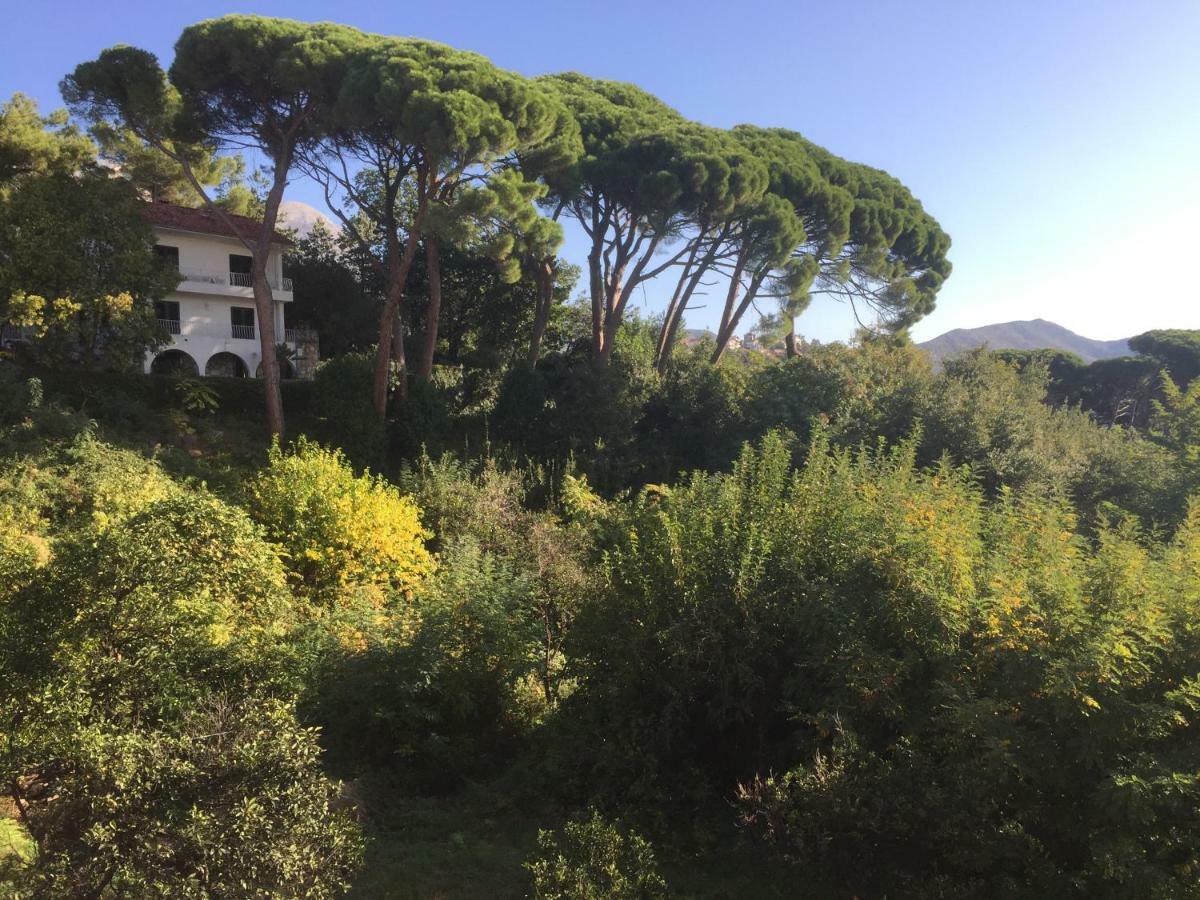 Villa Monte Boutique Apartments In Herceg Novi Bagian luar foto